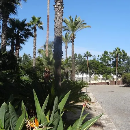 Appartement Beach Front Barracuda Albufeira